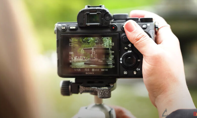 10 tips to help beginner photographers improve their work