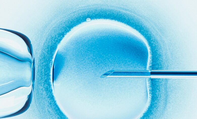 The Fall of Roe v.  Wade could threaten birth control and access to IVF