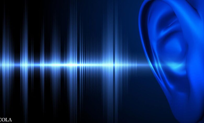 How Loud Noises Can Lead to Heart Attacks