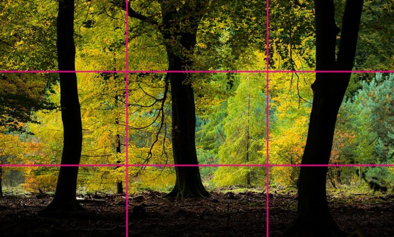 A better way to use the Rule of Thirds to your advantage