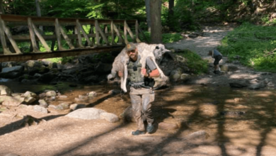 Ranger Rescued a dog that was too hot, carried it down a rocky trail