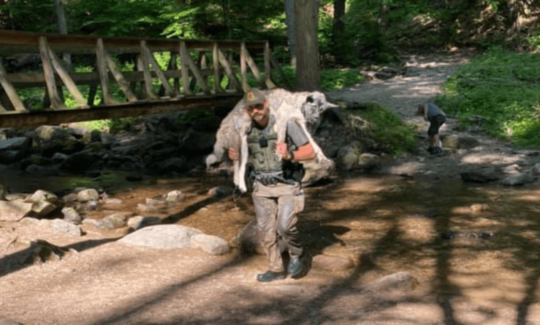 Ranger Rescued a dog that was too hot, carried it down a rocky trail
