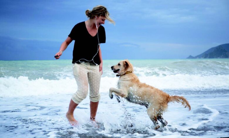 9 Beach Rules for Cool Dogs - Dogster