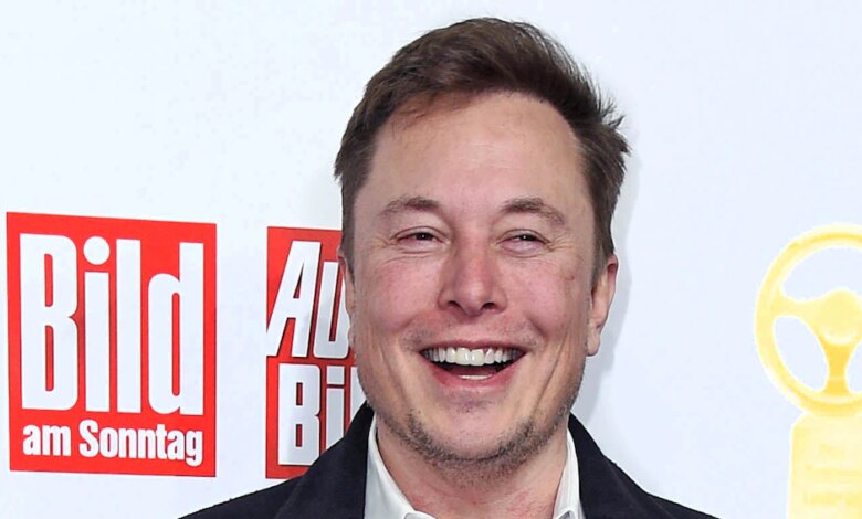 Here's Your Guide to Elon Musk's Complicated Family Tree