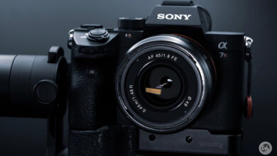 Review of the affordable and versatile Samyang AF 45mm f/1.8 FE lens