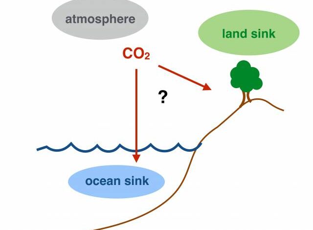 Global warming leads to more carbon sinks - Rising because of that?