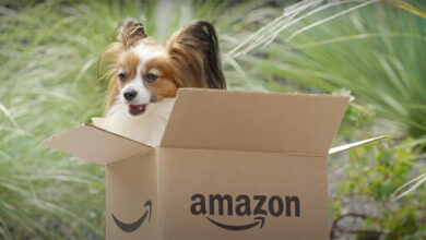 Amazon has a secret pet section where you don't have to pay full price. Photo Credit: Amazon/Youtube