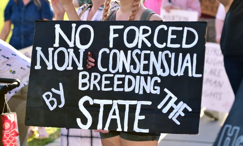 Abortion activists protesting in Florida Pic: AP