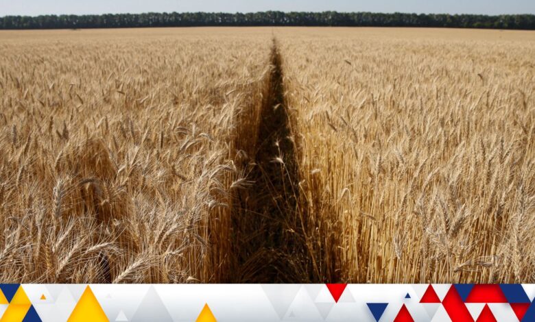 A wheat field is pictured near the village of Zhovtneve, Ukraine, July 14, 2016. REUTERS/Valentyn Ogirenko/File Photo