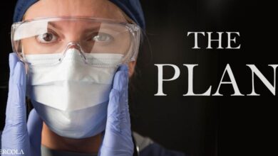 Pandemic 10-year plan