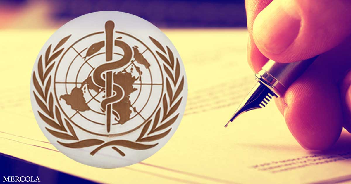 What You Need to Know About the WHO Pandemic Treaty TrendRadars US