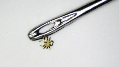 Smaller than a flea, tiny robotic crab sits next to the eye of a sewing needle. Image credit: Northwestern University