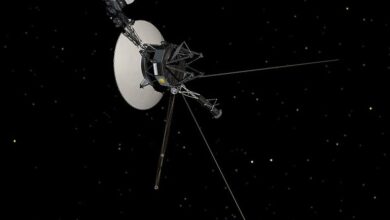 NASA is investigating this 'mysterious' data coming from Voyager 1