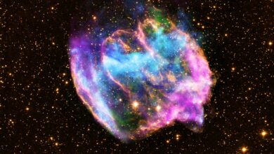 First Evidence of Supernova Explosion Found on EARTH!  Just check this out