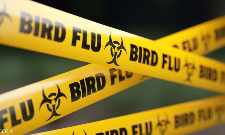 Will A Weaponized Avian Flu Be The Next Pandemic?