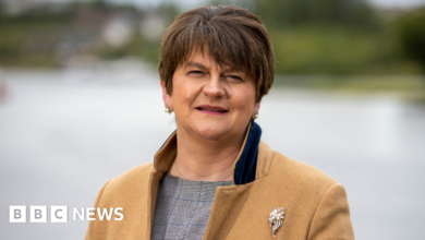 Queen's Birthday Honors: Dame Arlene Foster touched by the award