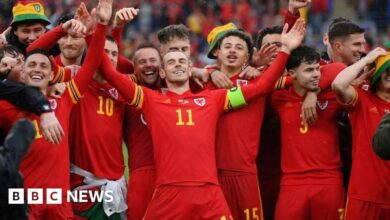 World Cup 2022: Celebrate as Wales qualify after 64 years of waiting