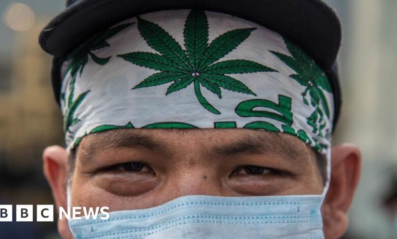 Thailand legalizes the sale of cannabis but still bans recreational use