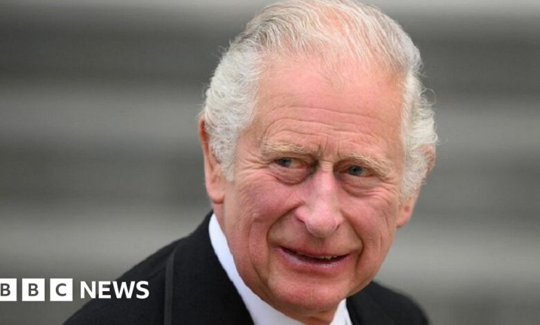 Prince Charles: Cash donation report checked by watchdog