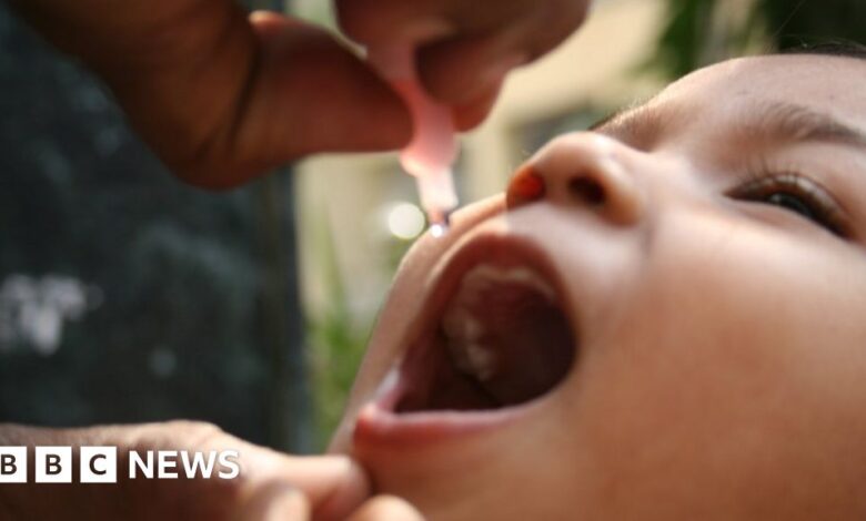 Polio: Virus found in London makes vaccine claims misleading