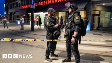 Oslo shooting: Two killed in attack on nightlife