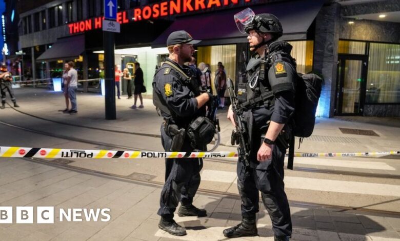 Oslo shooting: Two killed in attack on nightlife