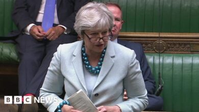 Theresa May defeats 'illegal' plan to override Brexit deal