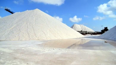 Top producer Albemarle risks shutting down German factory if EU declares Lithium a hazard - Will you be disappointed by that?