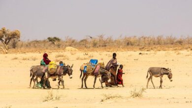 From the scene: Ethiopia's worst drought threatens 'fatal consequences' for women