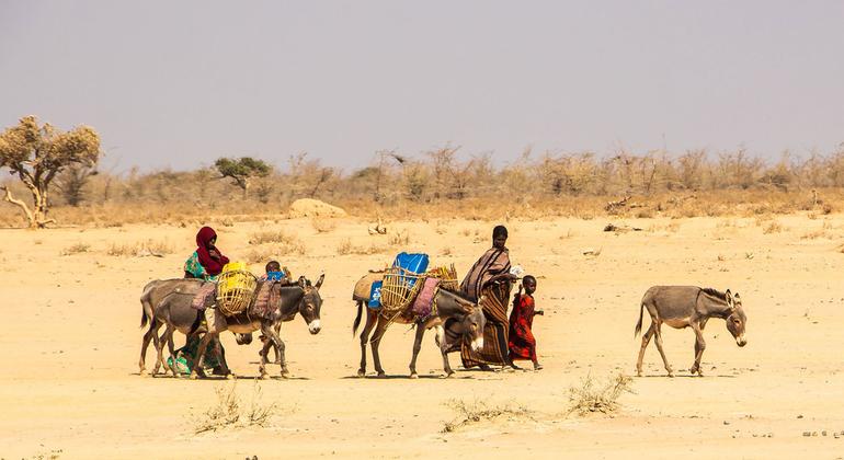 From the scene: Ethiopia's worst drought threatens 'fatal consequences' for women
