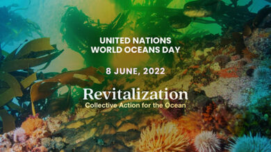 United Nations World Oceans Day 2022: Event to be streamed