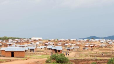 Refugees at risk: UN exposes human trafficking at Malawi camp |