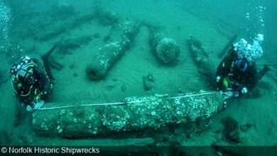 17th Century Royal Shipwreck Found Off the English Coast