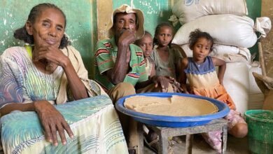 Conflict, drought and dwindling food supplies threaten 20 million Ethiopian lives |
