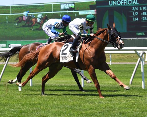 Dakota Gold Wins Season Debut in NY Stallion Stakes