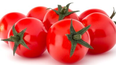 Relax, KOMO News, Is Tomato Supplies and Tomato Sauce Safe Amid Climate Change - Are You OK?