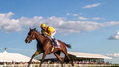 Hendy Woods Tops Mint Julep Stakes