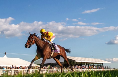 Hendy Woods Tops Mint Julep Stakes