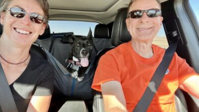 Happy woman, dog, and man in the car