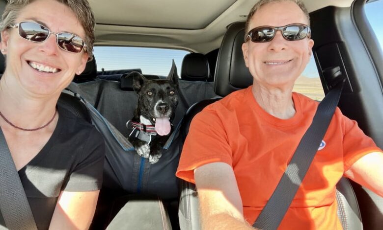 Happy woman, dog, and man in the car
