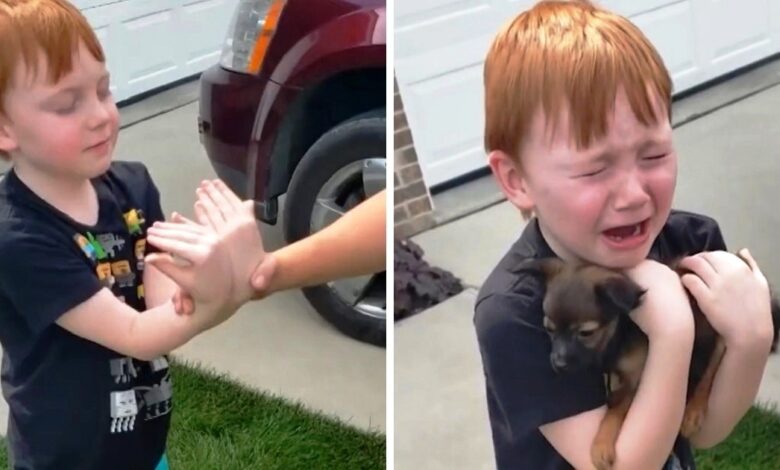 The boy saved up to buy a puppy, his grandmother asked him to close his eyes and stretch his arms