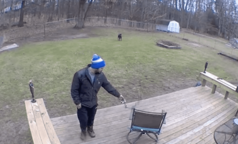 Video of man playing with dog causes backlash from girlfriend's followers