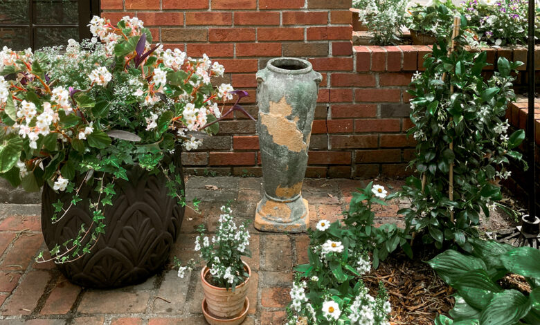 Container gardening tips for beginners