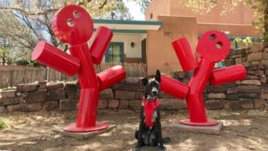 Brindle dog in red harness posting with sculpture of two dancing figures in Santa Fe, NM
