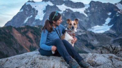 Go on a hiking adventure like a pro - Dogster