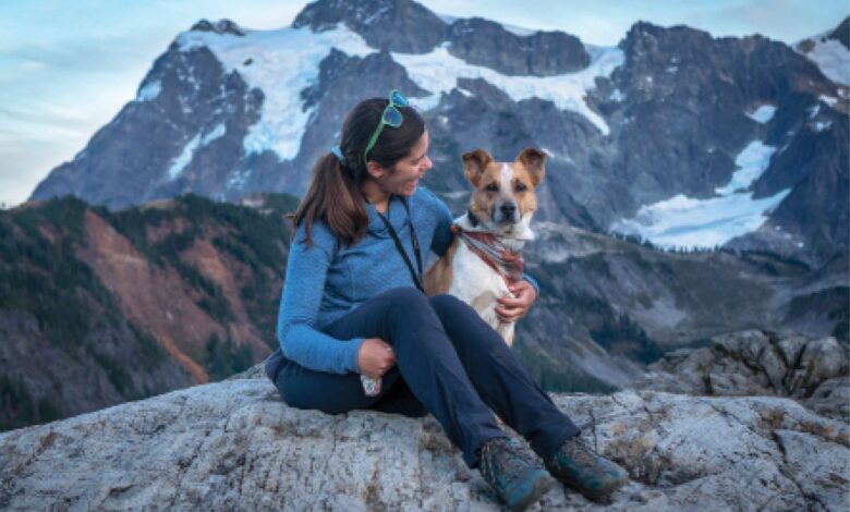 Go on a hiking adventure like a pro - Dogster