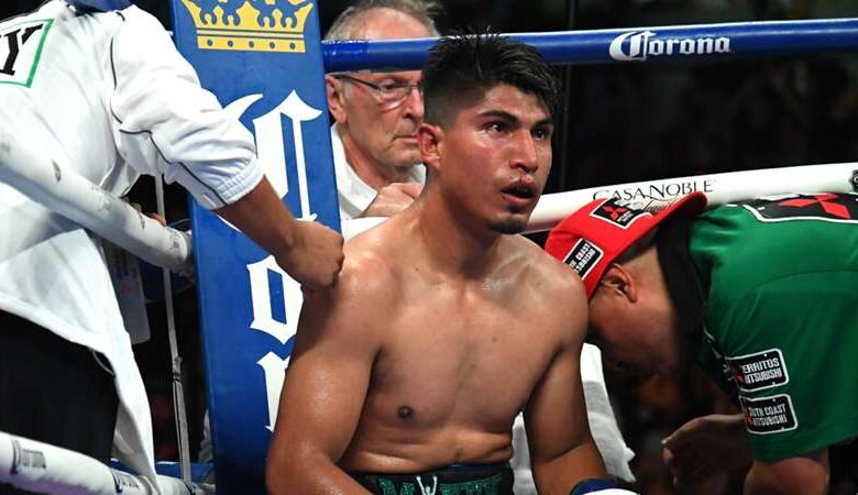 Mikey Garcia describes himself as a "Retired World Champion"