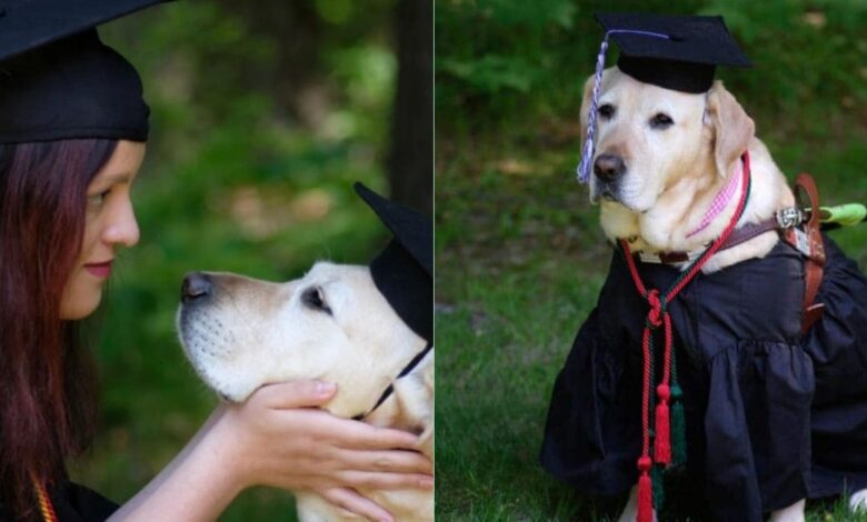 Guide dog helps mom complete her university degree, graduating with honors