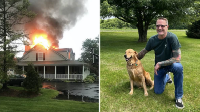 Người đàn ông phá cửa nhà hàng xóm để giải cứu con chó bị cháy khỏi nhà