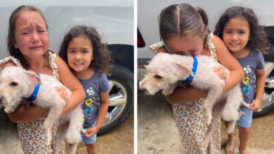 The little girl couldn't stop crying with joy when her lost dog was finally found